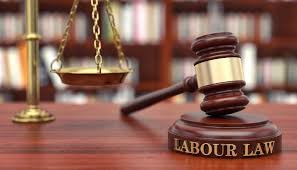 Latest Labour Law Updates: What Employers Need to Know in 2025